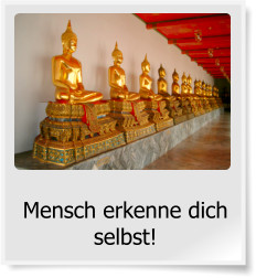 Mensch erkenne dich selbst!